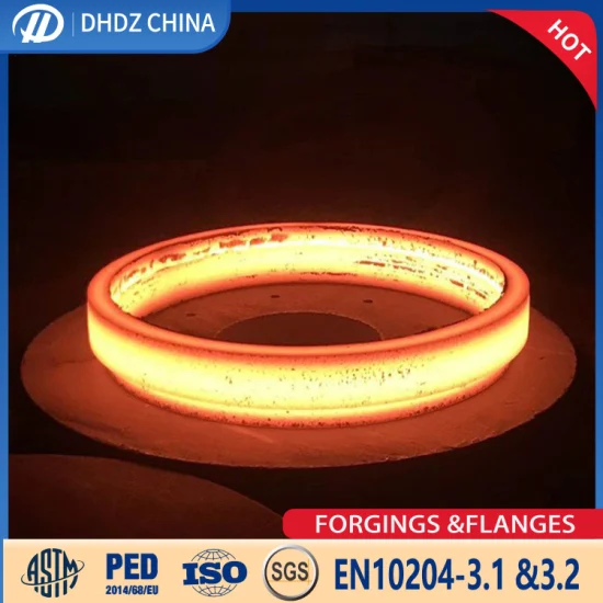 Carbon Steel Rings Forging Big Size Ring Loose Flange Backing Rings