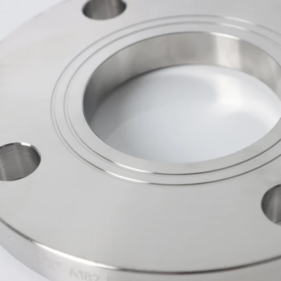 JIS Standard DN25 10K SS304 Stainless Steel Plate Flange